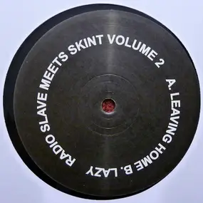 Radio Slave - Radio Slave Meets Skint Volume 2