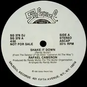 rafael cameron - Shake It Down / Desires