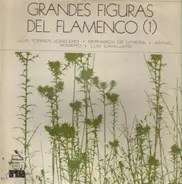 Rafael Romero / Bernarda de Utrera / a.o. - Grandes Figuras Del Flamenco, Vol. 1