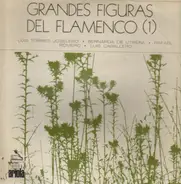 Rafael Romero / Bernarda de Utrera / a.o. - Grandes Figuras Del Flamenco, Vol. 1