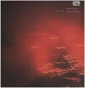 LP - Rafael Toral - Violence of Discovery and Calm of Aceptance