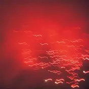 Rafael Toral - VIOLANCE OF DISCOVERY AND CALM...
