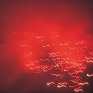 Rafael Toral - VIOLANCE OF DISCOVERY AND CALM...