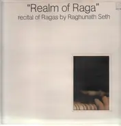 Raghunath Seth - Realm of Raga