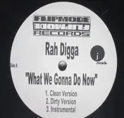 Rah Digga - What We Gonna Do Now