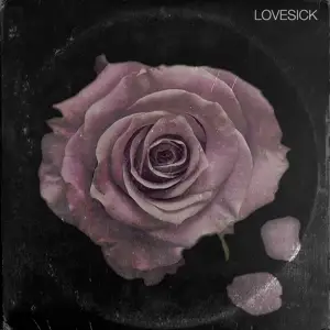 Raheem Devaughn - Lovesick