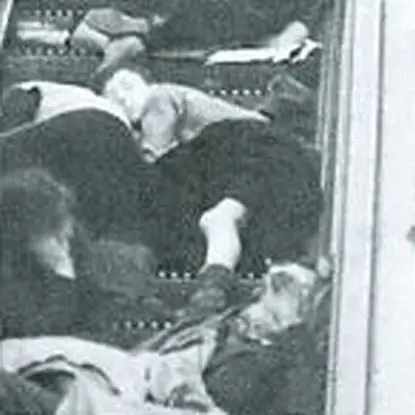 Raime - If Anywhere Was Here....regis Versions