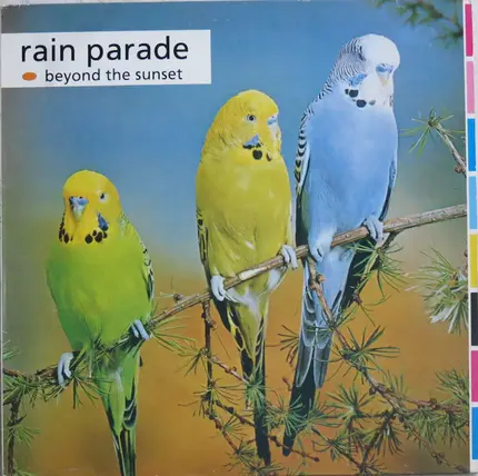 Rain Parade - Beyond the Sunset