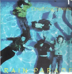 Rain Parade - Crashing Dream