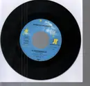 7inch Vinyl Single - Rainbow Orchestra - Blumemserenade / Ikebana