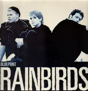 12'' - Rainbirds - Blueprint