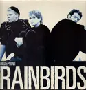 12'' - Rainbirds - Blueprint