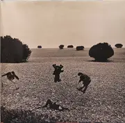 LP - Rainbirds - Call Me Easy Say I'm Strong Love Me My Way It Ain't Wrong - gatefold