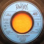 7inch Vinyl Single - Rainbirds - Not Exactly