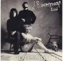 7inch Vinyl Single - Rainer Bärensprung Band - Löwenzahnbild