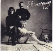 Rainer Bärensprung Band - Löwenzahnbild