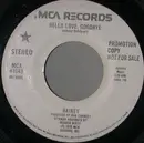 7inch Vinyl Single - Rainey - Hello Love, Goodbye