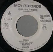 Rainey - Hello Love, Goodbye