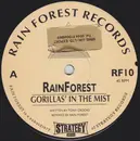 12'' - Rainforest - Gorillas' In The Mist / Natural Mystic