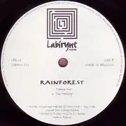 12inch Vinyl Single - Rainforest - Mystery