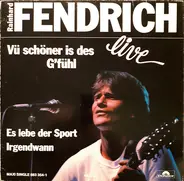 Rainhard Fendrich - Vü Schöner Is Des G'fühl Live