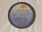 LP - Rainhard Fendrich - Und Alles Is Ganz Anders Word'n