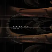 Raised Fist - Ignoring the Guidelines