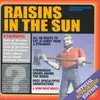 CD - Raisins In The Sun - Raisins In The Sun
