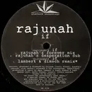 12inch Vinyl Single - Rajunah - If