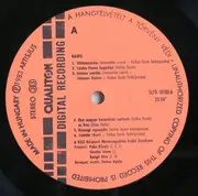 LP - Rajkó-Kapelle - Rajkó