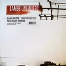 12inch Vinyl Single - Ralph Falcon - Every Now And Then (Pete Heller Remixes)