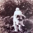 LP - Rapt - None Of This Will Matter - Ltd Ed