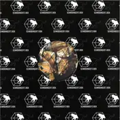 RAPHA - Visionia