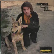 Raphael - Lo Nuevo De Raphael
