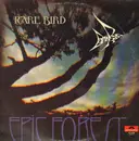 LP - Rare Bird - Epic Forest