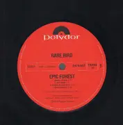 Double LP - Rare Bird - Epic Forest - Polydor