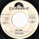 7inch Vinyl Single - Rare Bird - Hey Man