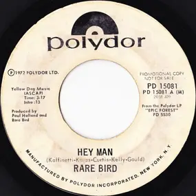 Rare Bird - Hey Man