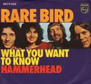 7'' - Rare Bird - What You Want To Know / Hammerhead - MONO