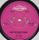 7inch Vinyl Single - Rare Bird - What You Want To Know