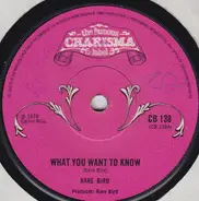 Rare Bird - What You Want To Know