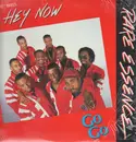 12inch Vinyl Single - Rare Essence - Hey Now