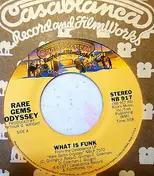 Rare Gems Odyssey - What Is Funk