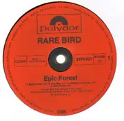 Double LP - Rare Bird - Epic Forest