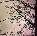 12'' - Rasmus Hedlund - Hidden Structure