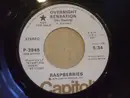 7inch Vinyl Single - Raspberries - Overnight Sensation (Hit Record)