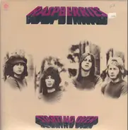 Raspberries - Starting Over