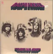 LP - Raspberries - Starting Over