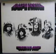 LP - Raspberries - Starting Over - Insert