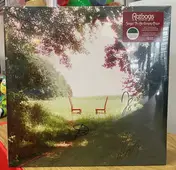 Ratboys - Singin' To an Empty Chair